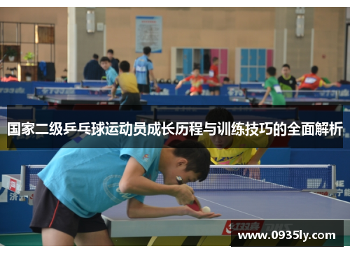 国家二级乒乓球运动员成长历程与训练技巧的全面解析